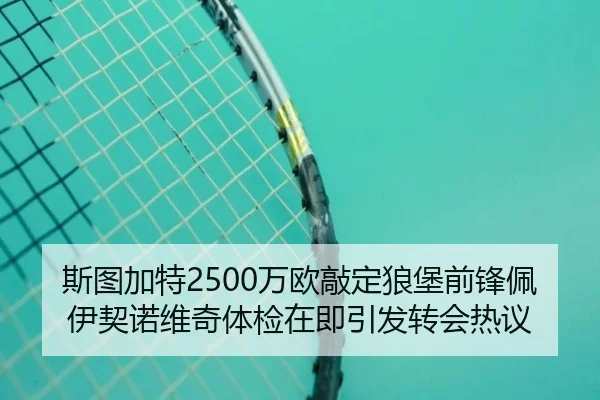 斯图加特2500万欧敲定狼堡前锋佩伊契诺维奇体检在即引发转会热议